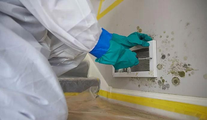 mold remediation