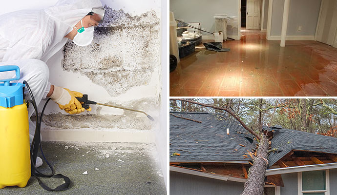 Cleaning up and repairing storm, flood, and mold damage.
