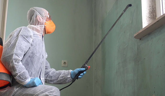 worker fixing mold damage professionally