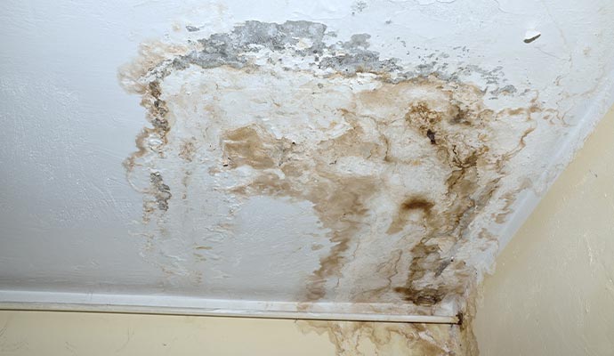 Water damage restoration