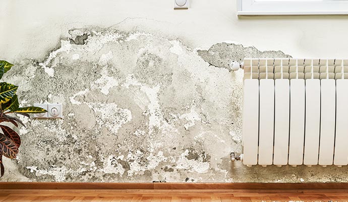 structural white wall water and mold damage