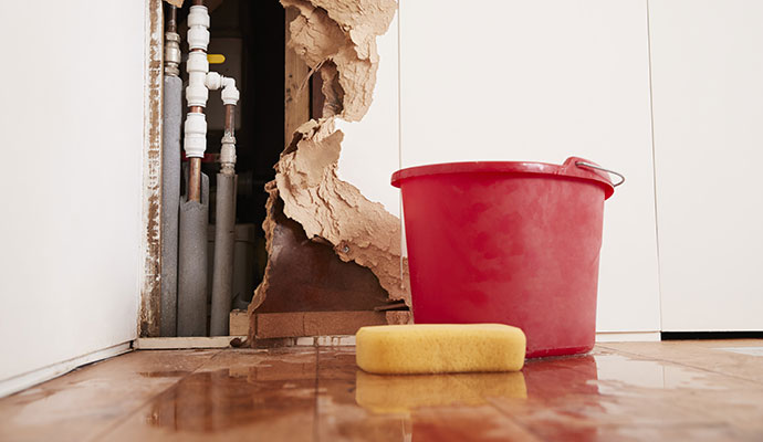 Water Damage Emergency