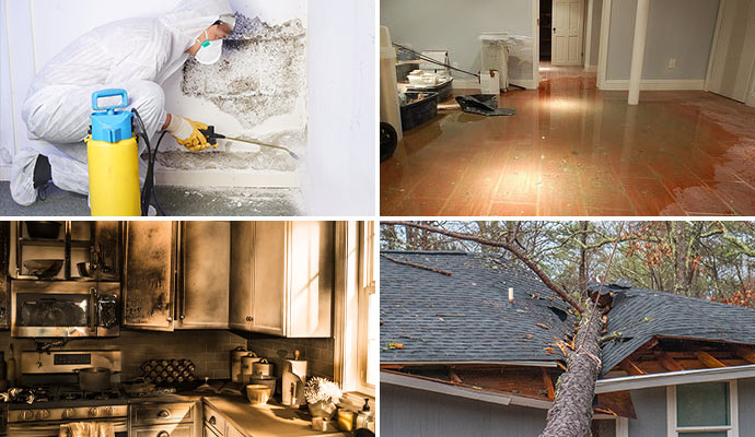 Damage repair and restoration for water, fire, mold, and storm damage.