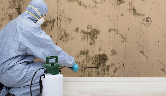 spraying for preventing mold